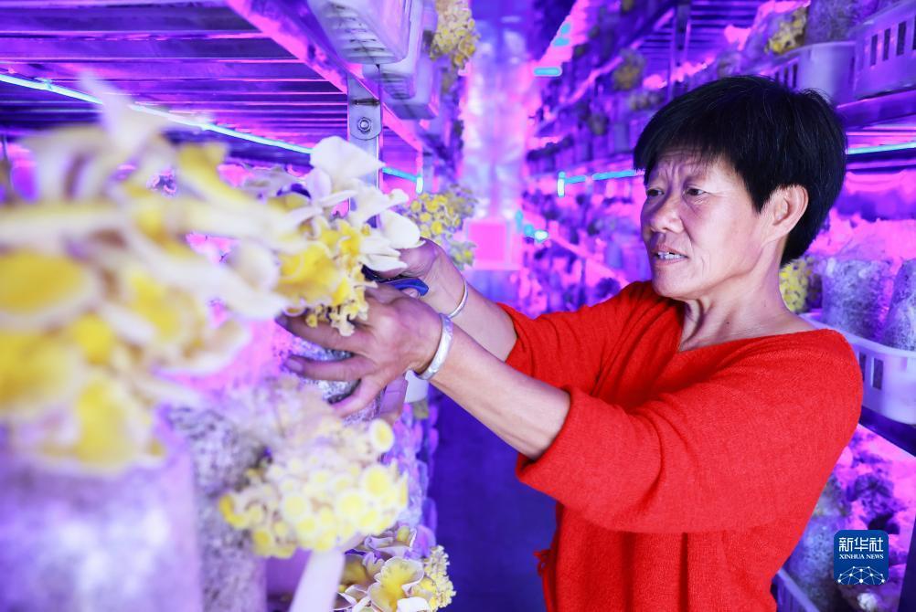 新游戏大厅ios